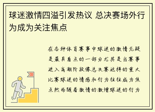 球迷激情四溢引发热议 总决赛场外行为成为关注焦点
