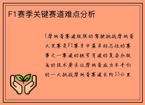 F1赛季关键赛道难点分析
